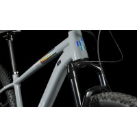 Cube Access WS SLX grey´n´silver Damen-Mountainbike 2023 18" / 29 / M