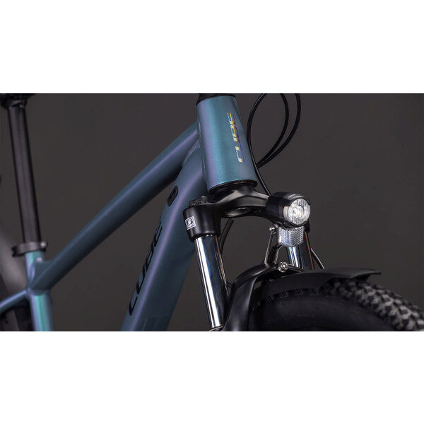 pegasus e bike display Pegasus Strong EVO 10 Lite grau | 800WH | E-Bike Damen Trekking